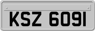 KSZ6091