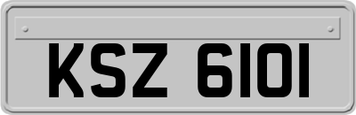 KSZ6101