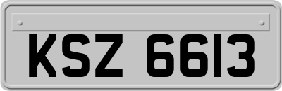 KSZ6613