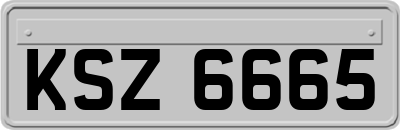KSZ6665