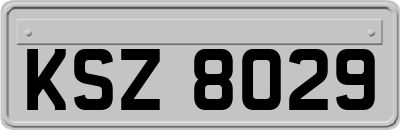 KSZ8029