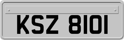 KSZ8101