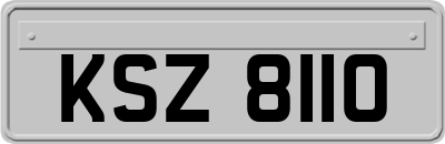 KSZ8110