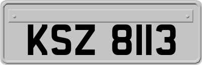 KSZ8113