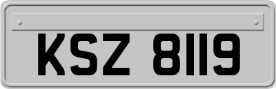 KSZ8119