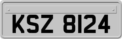 KSZ8124