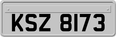 KSZ8173