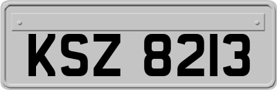 KSZ8213