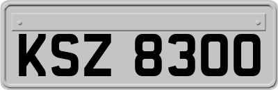 KSZ8300