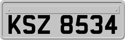 KSZ8534