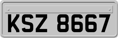 KSZ8667