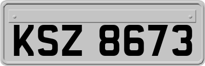 KSZ8673