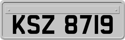 KSZ8719