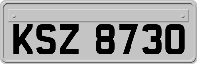 KSZ8730