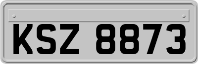 KSZ8873