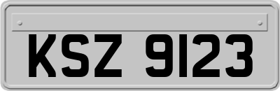 KSZ9123