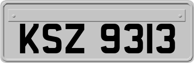 KSZ9313
