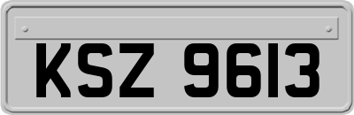KSZ9613