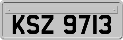 KSZ9713