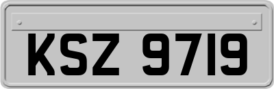 KSZ9719