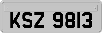 KSZ9813