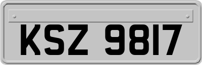 KSZ9817