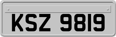 KSZ9819