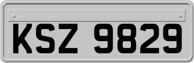 KSZ9829