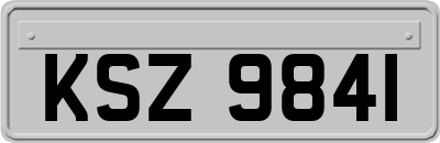 KSZ9841