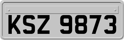 KSZ9873