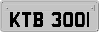 KTB3001