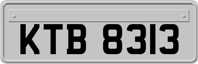 KTB8313