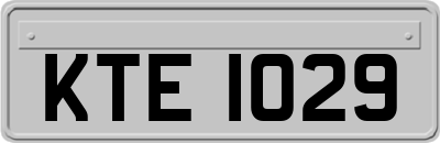 KTE1029