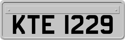KTE1229
