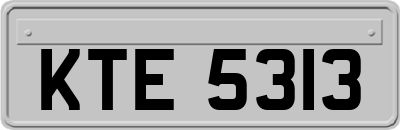 KTE5313