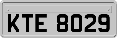 KTE8029