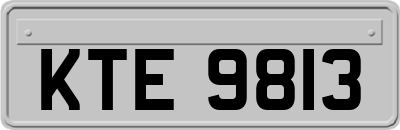 KTE9813