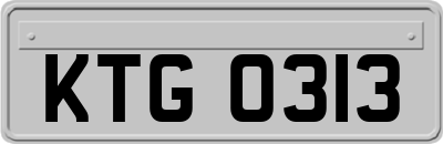 KTG0313
