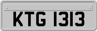 KTG1313