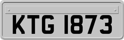 KTG1873