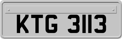 KTG3113
