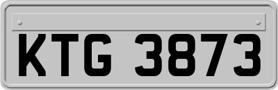 KTG3873