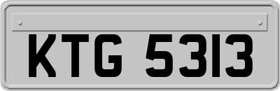 KTG5313