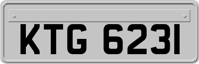 KTG6231