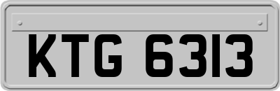 KTG6313