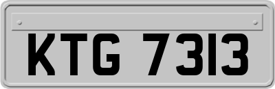 KTG7313