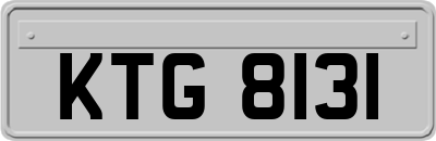 KTG8131