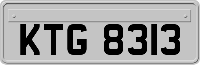 KTG8313