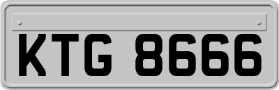 KTG8666