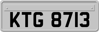 KTG8713
